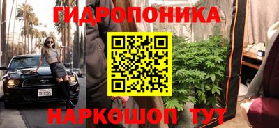 эйфоретик Будённовск