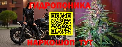 эйфоретик Будённовск