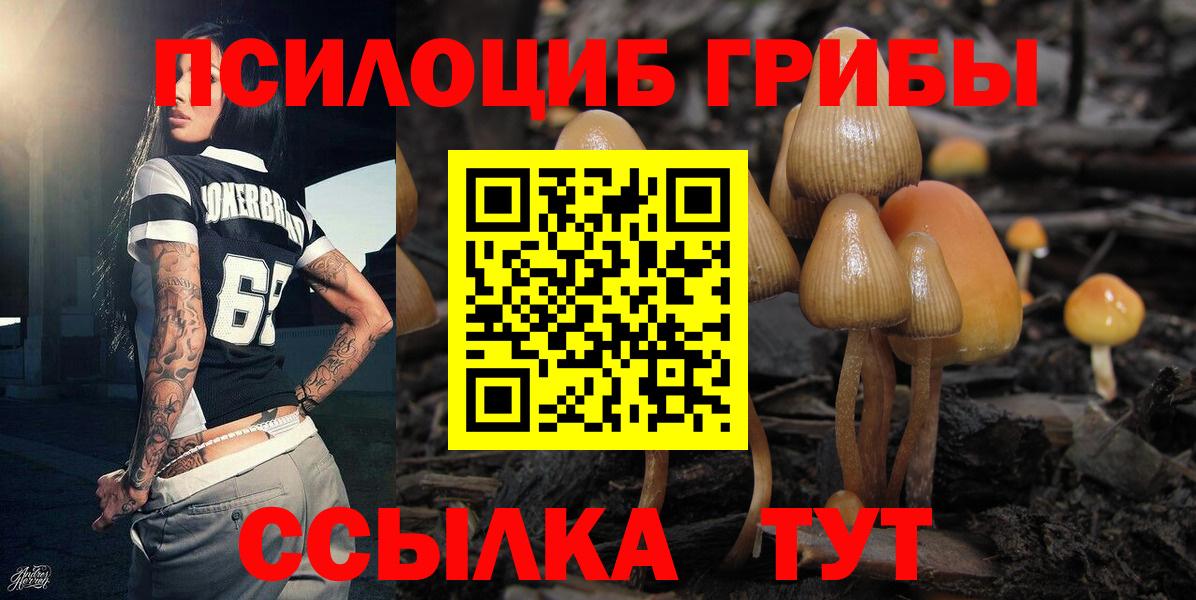 Галлюциногенные грибы ЛСД  Вход с VPN  Черкесск  Псилоцибиновые грибы мицелий 
