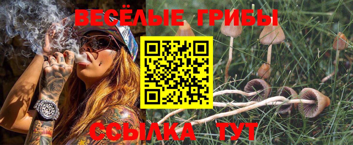 Псилоцибиновые грибы GOLDEN TEACHER Черкесск