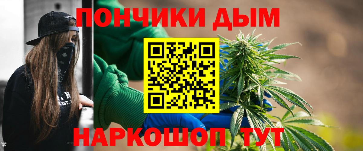 Каннабис OG Kush  Марихуана план  Бошки марихуана тримм  Черкесск  Вход с VPN  Марихуана сатива 